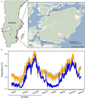 Long-Term Warming of Baltic Sea Coastal Waters Affects Bacterial Communities in Bottom Water and Sediments Differently